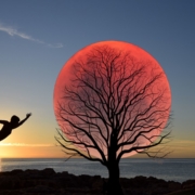 Astrologische Zeitqualität zum Vollmond in der Waage