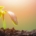 Warum Energy Medicine Yoga bei Traumata hilft