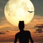 LYN.ASTRO @EvelynVysher
