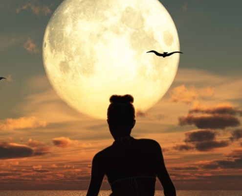 LYN.ASTRO @EvelynVysher