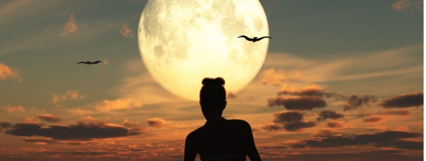 LYN.ASTRO @EvelynVysher